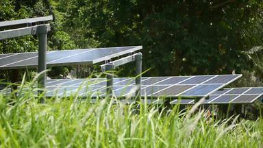 太阳能面板草阳光明媚的一天行替代权力植物草坪上生产生态能源<strong>保护环境</strong>绿色概念现代技术创新